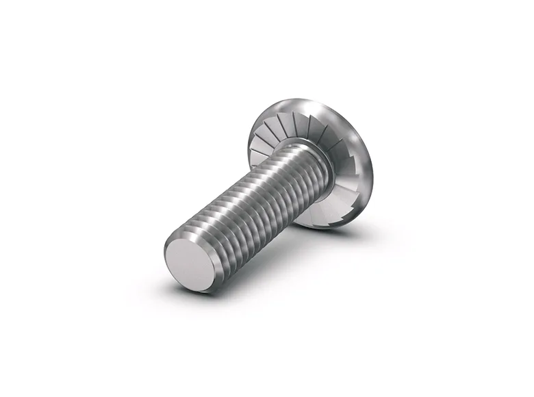 白色背景上的ecosyn® grip螺钉